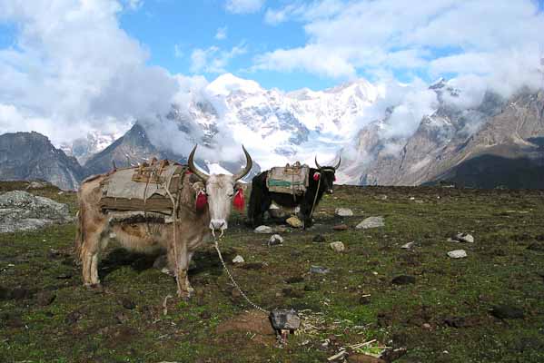 Trekking tours